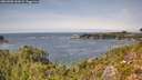 ./images/calvert/foggy-cove/20260908/foggy-cove20260908_142001M.jpg