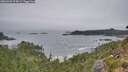 ./images/calvert/foggy-cove/20260909/foggy-cove20260909_074501M.jpg