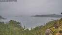 ./images/calvert/foggy-cove/20260909/foggy-cove20260909_091501M.jpg