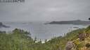 ./images/calvert/foggy-cove/20260909/foggy-cove20260909_093001M.jpg