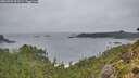 ./images/calvert/foggy-cove/20260909/foggy-cove20260909_093501M.jpg