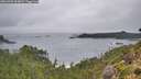 ./images/calvert/foggy-cove/20260909/foggy-cove20260909_094002M.jpg