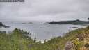 ./images/calvert/foggy-cove/20260909/foggy-cove20260909_094501M.jpg