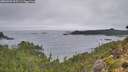 ./images/calvert/foggy-cove/20260909/foggy-cove20260909_095501M.jpg