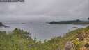 ./images/calvert/foggy-cove/20260909/foggy-cove20260909_103501M.jpg