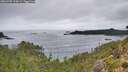 ./images/calvert/foggy-cove/20260909/foggy-cove20260909_110002M.jpg