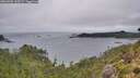 ./images/calvert/foggy-cove/20260909/foggy-cove20260909_110502M.jpg