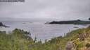 ./images/calvert/foggy-cove/20260909/foggy-cove20260909_111001M.jpg