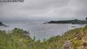 ./images/calvert/foggy-cove/20260909/foggy-cove20260909_113001M.jpg