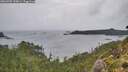 ./images/calvert/foggy-cove/20260909/foggy-cove20260909_134001M.jpg