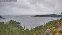 ./images/calvert/foggy-cove/20260909/foggy-cove20260909_143001M.jpg