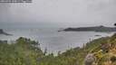 ./images/calvert/foggy-cove/20260909/foggy-cove20260909_144001M.jpg