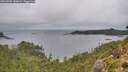 ./images/calvert/foggy-cove/20260909/foggy-cove20260909_145001M.jpg