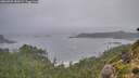 ./images/calvert/foggy-cove/20260909/foggy-cove20260909_181002M.jpg