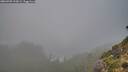 ./images/calvert/foggy-cove/20260909/foggy-cove20260909_193002M.jpg