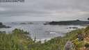./images/calvert/foggy-cove/20260910/foggy-cove20260910_070001M.jpg