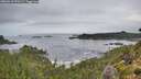 ./images/calvert/foggy-cove/20260910/foggy-cove20260910_070501M.jpg