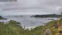 ./images/calvert/foggy-cove/20260910/foggy-cove20260910_071001M.jpg