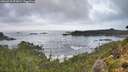 ./images/calvert/foggy-cove/20260910/foggy-cove20260910_073001M.jpg