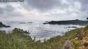 ./images/calvert/foggy-cove/20260910/foggy-cove20260910_073501M.jpg