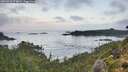 ./images/calvert/foggy-cove/20260910/foggy-cove20260910_074001M.jpg
