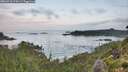 ./images/calvert/foggy-cove/20260910/foggy-cove20260910_074502M.jpg