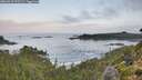 ./images/calvert/foggy-cove/20260910/foggy-cove20260910_075501M.jpg