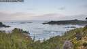 ./images/calvert/foggy-cove/20260910/foggy-cove20260910_080002M.jpg