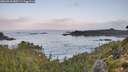 ./images/calvert/foggy-cove/20260910/foggy-cove20260910_080501M.jpg
