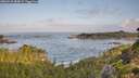 ./images/calvert/foggy-cove/20260910/foggy-cove20260910_083001M.jpg