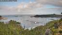 ./images/calvert/foggy-cove/20260910/foggy-cove20260910_090001M.jpg