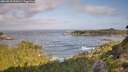 ./images/calvert/foggy-cove/20260910/foggy-cove20260910_091001M.jpg