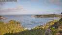 ./images/calvert/foggy-cove/20260910/foggy-cove20260910_091501M.jpg