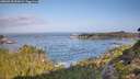 ./images/calvert/foggy-cove/20260910/foggy-cove20260910_092002M.jpg