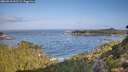 ./images/calvert/foggy-cove/20260910/foggy-cove20260910_092501M.jpg