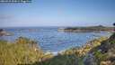 ./images/calvert/foggy-cove/20260910/foggy-cove20260910_093001M.jpg