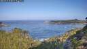 ./images/calvert/foggy-cove/20260910/foggy-cove20260910_094001M.jpg