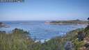 ./images/calvert/foggy-cove/20260910/foggy-cove20260910_094501M.jpg