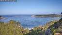 ./images/calvert/foggy-cove/20260910/foggy-cove20260910_095001M.jpg
