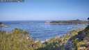 ./images/calvert/foggy-cove/20260910/foggy-cove20260910_095501M.jpg