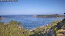 ./images/calvert/foggy-cove/20260910/foggy-cove20260910_100501M.jpg