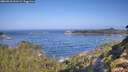 ./images/calvert/foggy-cove/20260910/foggy-cove20260910_101002M.jpg