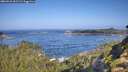 ./images/calvert/foggy-cove/20260910/foggy-cove20260910_101501M.jpg