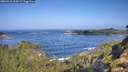 ./images/calvert/foggy-cove/20260910/foggy-cove20260910_102002M.jpg