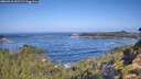 ./images/calvert/foggy-cove/20260910/foggy-cove20260910_102501M.jpg