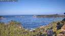 ./images/calvert/foggy-cove/20260910/foggy-cove20260910_103002M.jpg