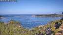 ./images/calvert/foggy-cove/20260910/foggy-cove20260910_104001M.jpg