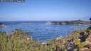 ./images/calvert/foggy-cove/20260910/foggy-cove20260910_104501M.jpg