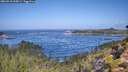./images/calvert/foggy-cove/20260910/foggy-cove20260910_105001M.jpg