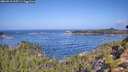 ./images/calvert/foggy-cove/20260910/foggy-cove20260910_105501M.jpg